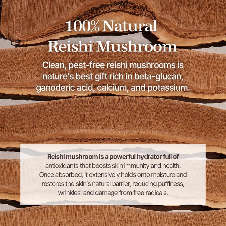 MIXSOON Reishi Mushroom Essence 6 skincare-kbeauty-glowtime-mixsoon reishi mushroom essence